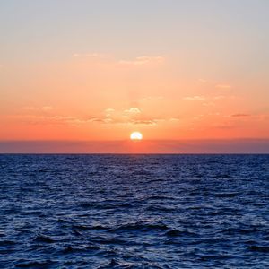 Meet your Posher, Letitia